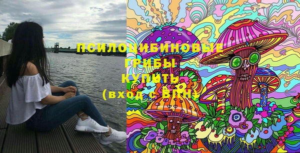 эйфоретик Белокуриха