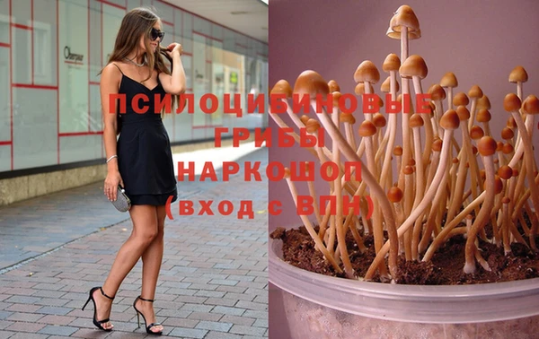 эйфоретик Белокуриха