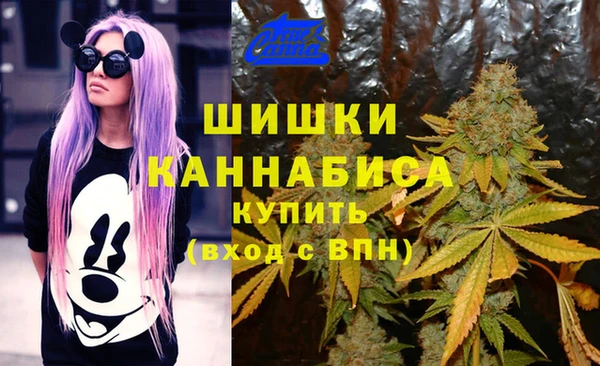 эйфоретик Белокуриха