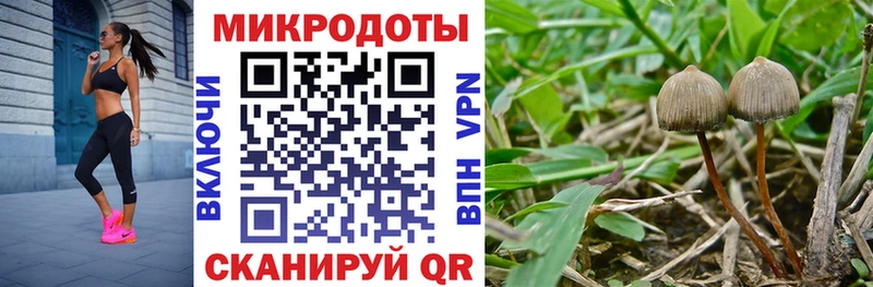купить наркотик  Нестеровская  Псилоцибиновые грибы мухоморы 